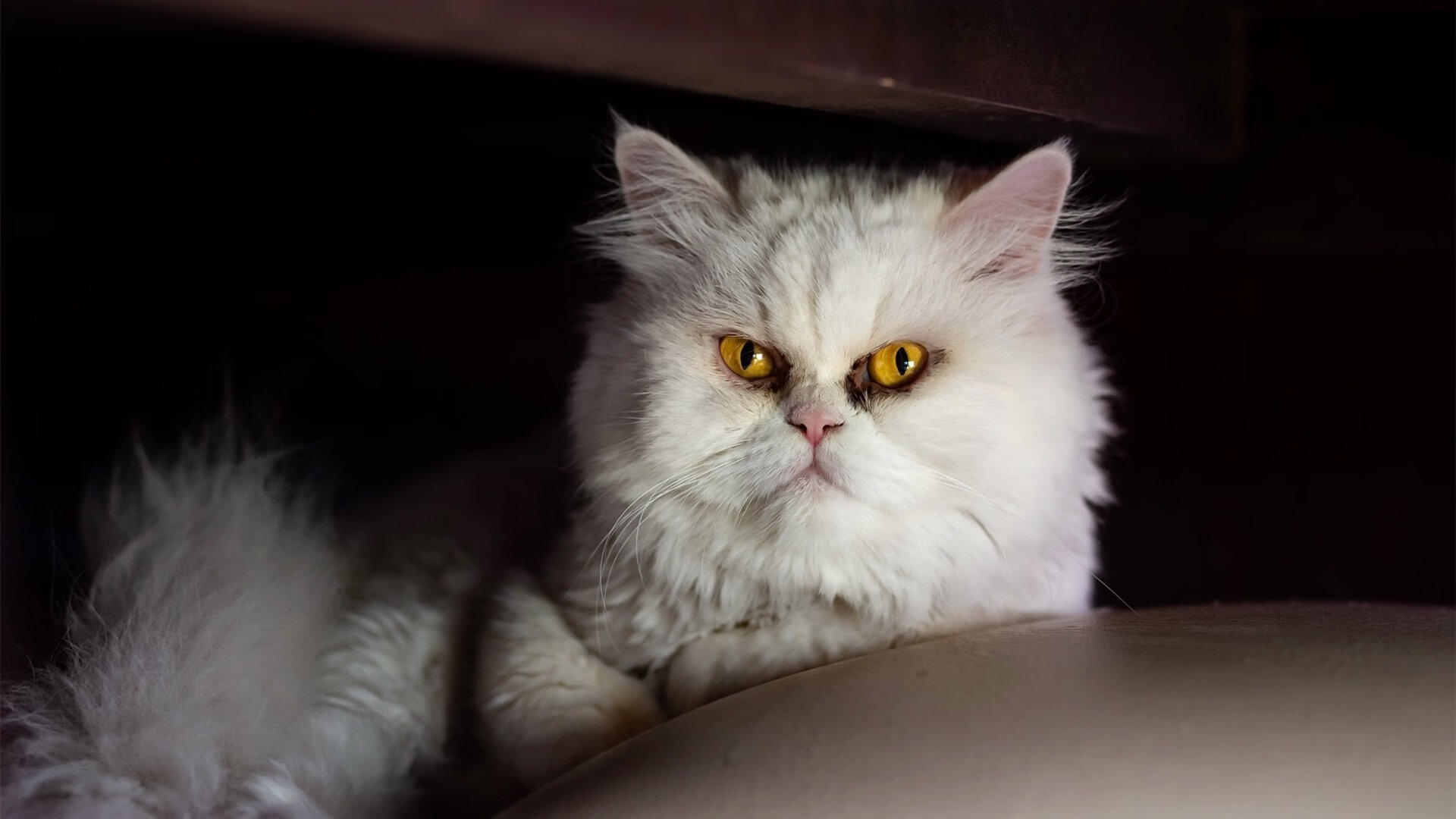 熊猫体育平台-王者荣耀同人创作大赛：画出你心中的王者英雄！，游戏同人王者荣耀