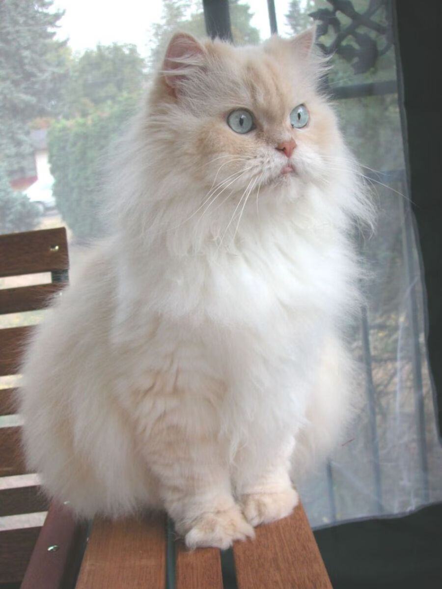 熊猫体育下载-逆境中的应变拼图：哪些球队策略调整最精彩？