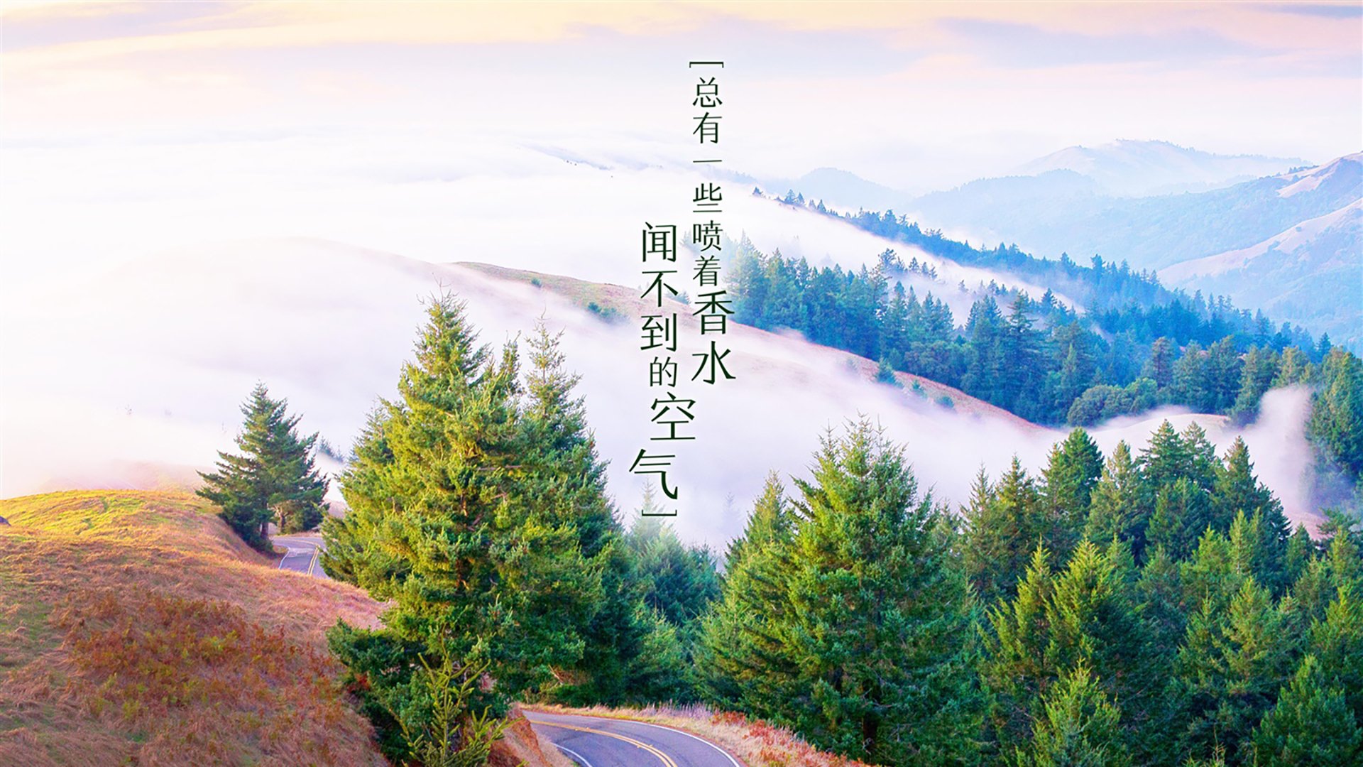 熊猫体育APP-BLG推动电子竞技运动安全文化建设，推动电竞行业
