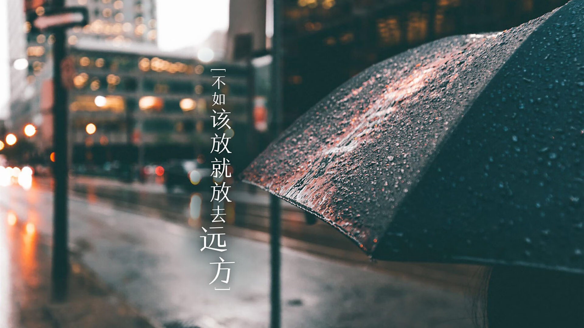 宁夏紫金队员精神百倍，士气高涨，宁夏紫金花商务中心