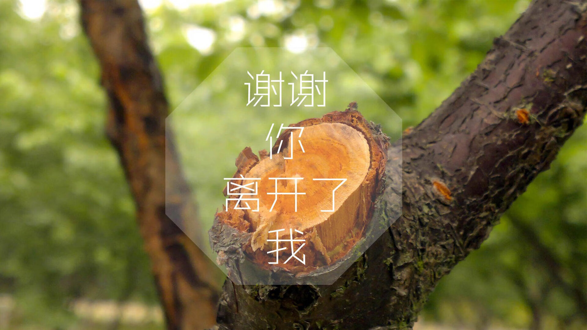 安德烈·桑托斯在斯特拉斯堡表现出色，未来备受期待，安德烈·斯托卡