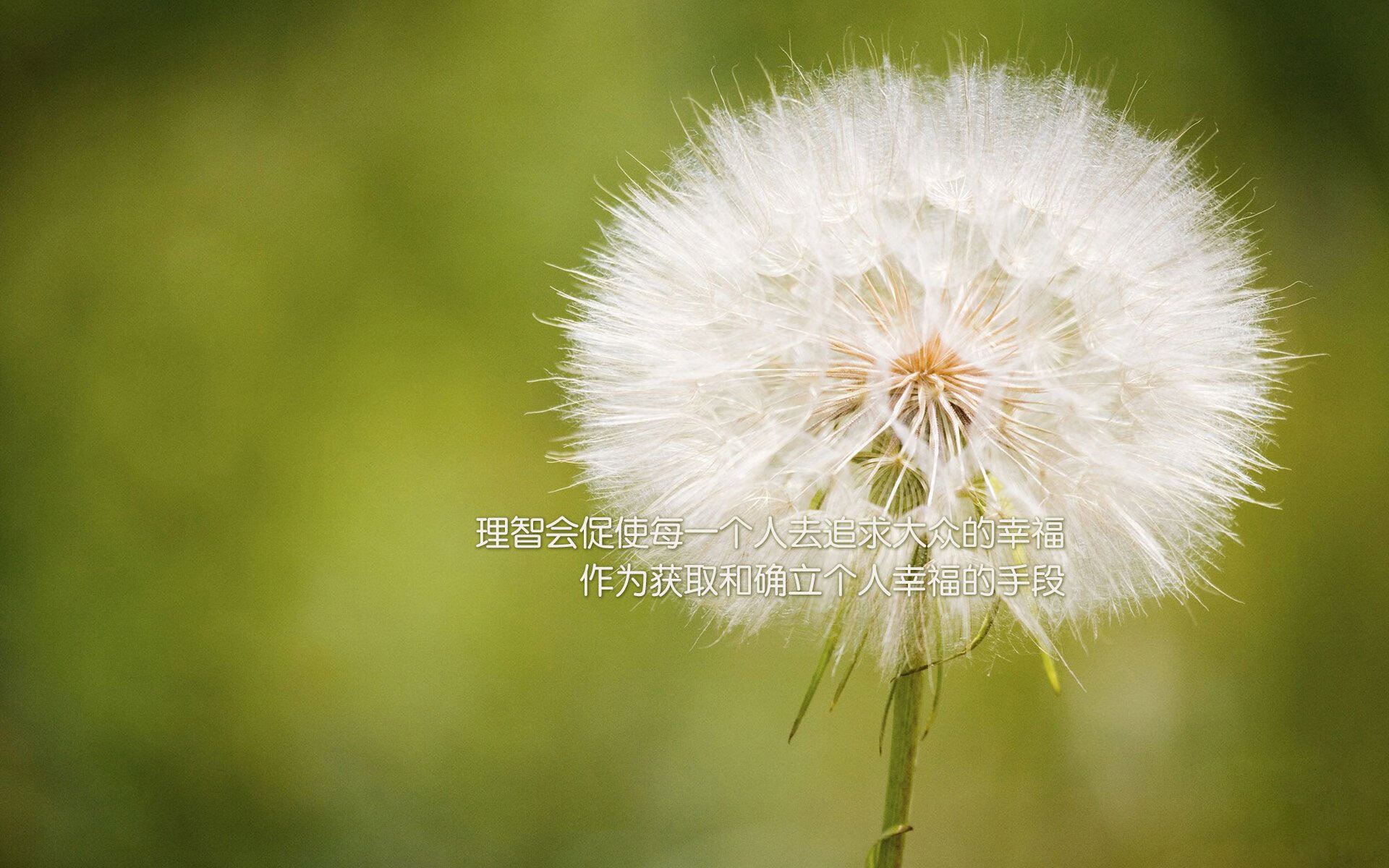 全国青少年花样滑冰邀请赛在哈尔滨举行，世界青少年花样滑冰锦标赛几年一次